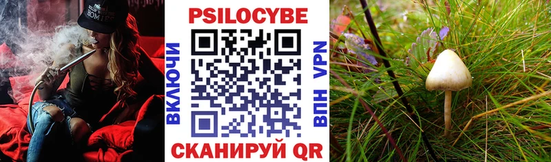 Купить  Покачи  Галлюциногенные грибы MAGIC MUSHROOMS 